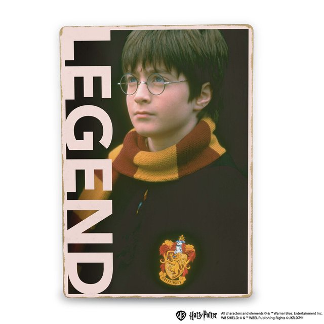 Деревянный постер Гарри Поттер™ (Legend)
