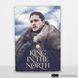 Деревянный постер Игра Престолов Jon Snow™ А4